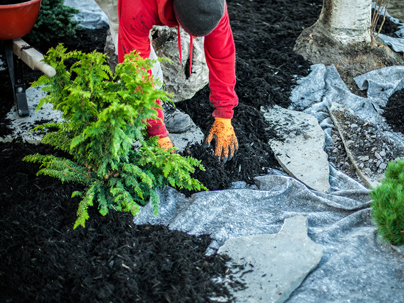 L'importance de l'entretien paysager.